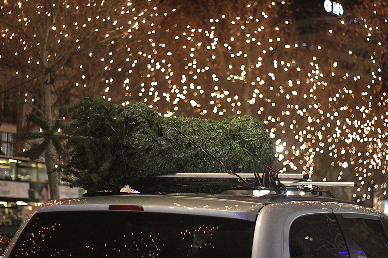 Weihnachtsbaum auf Auto